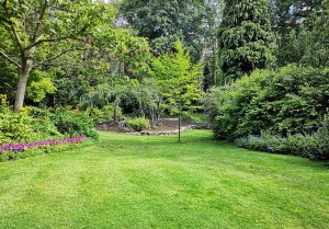Optimiser l'expérience du jardin à Anquetierville